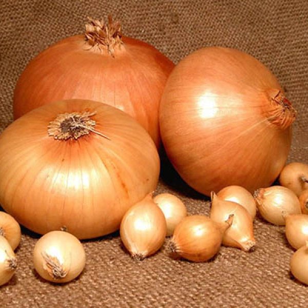 Полезные onion сайты